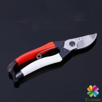 MD กรรไกรตัดกิ่งไม้ กรรไกรตัดดอก อุปกรณ์ทำสวน Pruning shears