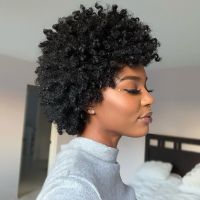 Highlight Color Short Afro Kinky Curly Human Hair Wigs Brazilian Hair Wigs Glueless For Black Women Wholesale Machine Made Wigs Hand Tool Parts Access