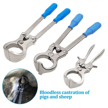 Veterinary Castration Instruments