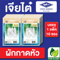 ผักซอง เจียไต๋ CT15 เมล็ดพันธุ์ พันธุ์ผัก ผักกาดหัว บรรจุแพ็คล่ะ 10 ซอง ราคา 70 บาท