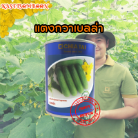 แตงกวาเบลล่า เมล็ดพันธุ์แตงกวา 50 ก. ตราเจียไต๋ ผสสีเขียว ยาว 12 ซม.​