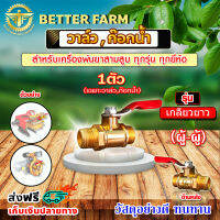 วาล์ว ก๊อกน้ำ เครื่องพ่นยา 3สูบ 1/4"(ผู้-ผู้) ?มีหลายตัวเลือก?