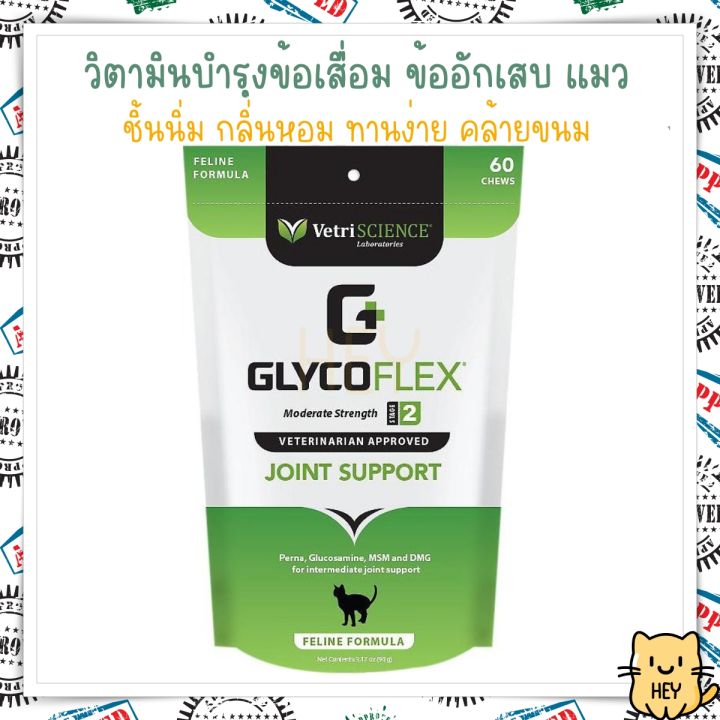 glycoflex-2-vetriscience-บำรุงกระดูกและข้อ-แมว-ขากะเพลก-ป้องกันข้อเสื่อม-น้ำในข้อ-กระดูก-สะโพก-อาหารเสริมแมว-60ชิ้น-usa