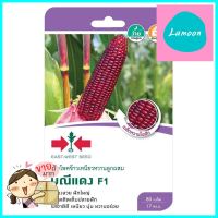 เมล็ดพันธุ์ข้าวโพดข้าวเหนียว F1 มณีแดง ศรแดงWAXY CORN SEEDS SORNDAENG RED MANEE F1 **ราคารวม Vat แล้วค่ะ ไม่มีบวกเพิ่ม**