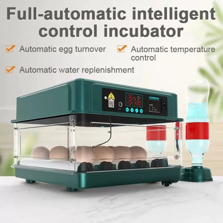 ไข่ไก่อัตโนมัติ-incubator-brooder-สัตว์ปีกฟาร์มสัตว์อุปกรณ์เสริมเครื่องมือความร้อนห่านเป็ดนกนกกระทาไข่-light-incubator