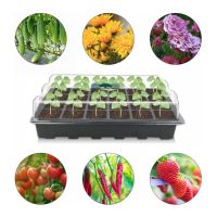 3PCS/Set 24-Hole Seedling Tray Plant Nursery Pot Seeding Box with Big Holes Gardening Supplies Flower amp; Plants Pots