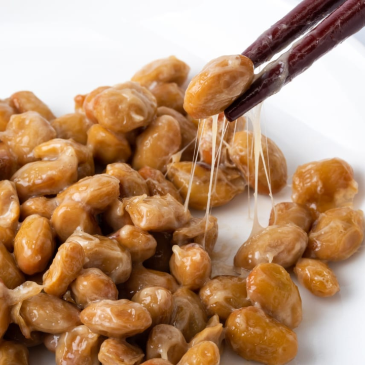 Natto Starter Powder NATTOMOTO soybean natto 1g Lazada