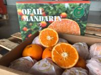ส้มแมนดาริน 1กล่อง