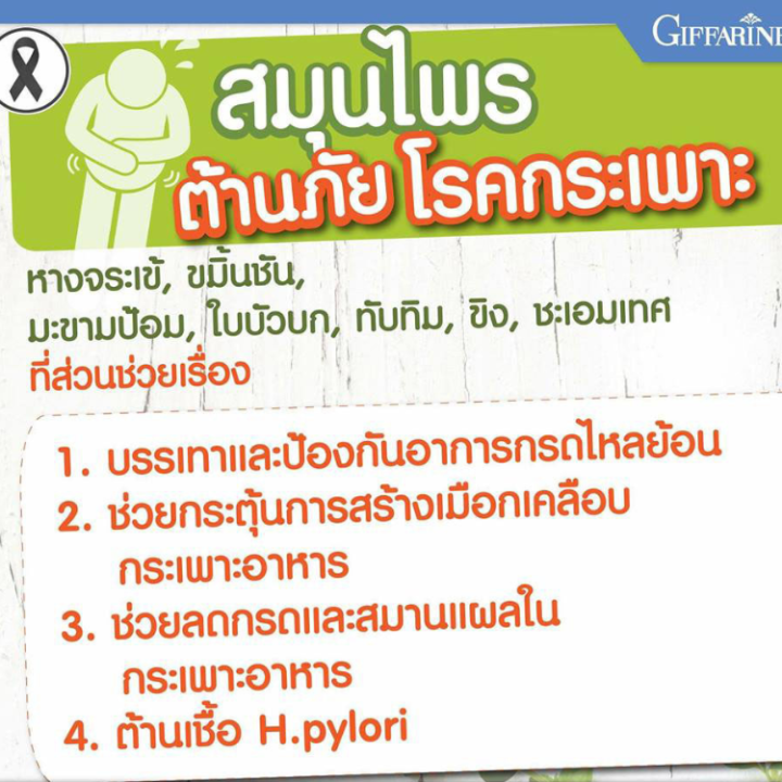 แกสตรา-เฮิร์บ-gastra-herb-กิฟฟารีน-giffarine-แกสตราเฮิร์บกิฟฟารีน-เหมาะสำหรับผู้ที่เป็นกรดไหลย้อน-ปวดท้อง-โรคกระเพาะ-แกสต้า-แกสตรากิฟฟารีน