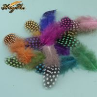 100Pcs Natural Guinea Fowl Spotted Feather 5-10cm Chicken Pheasant Feathers Crafts Plume for Home Decoration Accessories feather