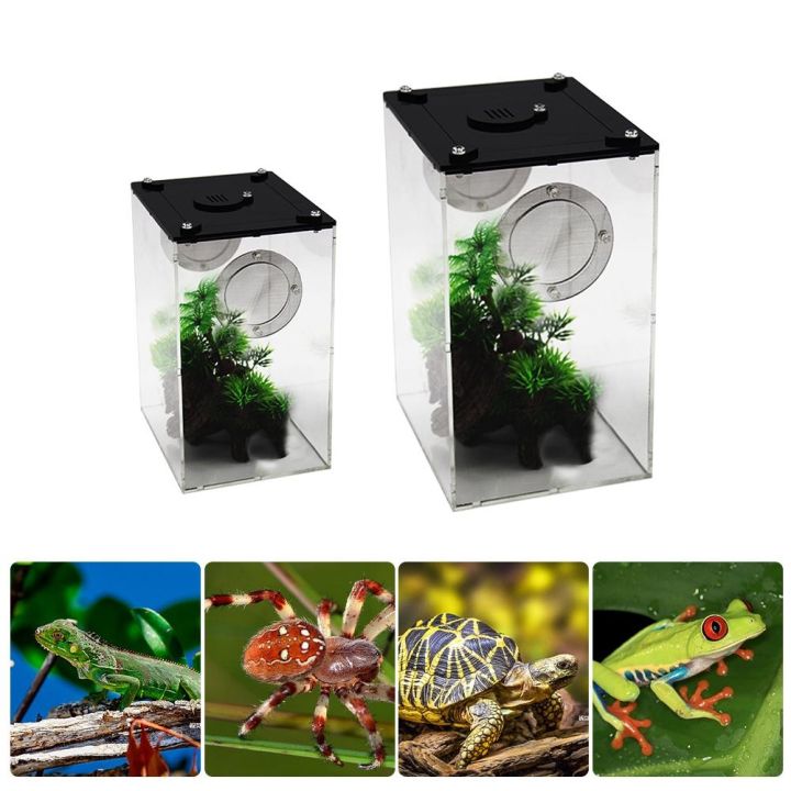 【CW】 New Terrarium Breeding Reptile Feeding For Climbing Pet Lizard ...