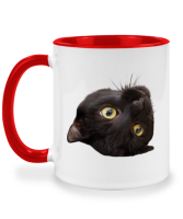 แก้วพิมพ์ลาย แมวดำ domestic catblack cata normal cat แก้วลาย แก้วมัค twotone coffee mug