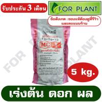 ปุ๋ย สูตร 12-24-12 ตราหัววัว บรรจุ 5 กิโลกรัม (สินค้าตรงปก) ปุ๋ยเร่งต้น เร่งใบ เร่งดอก เร่งผล ใส่ผัก ผลไม้ ปุ๋ยไม้ดอกไม้ประดับ