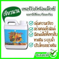 #ปุ๋ยกิฟฟารีน #เพิ่มความเขียว เขียวทน เพิ่มคลอโรฟิลล์  ปรับโครงสร้างให้ดินระบายน้ำได้ดี เทอร์โบไทโอแม็ก Turbo Thio Magของแท้ จากร้าน GIFTYOU