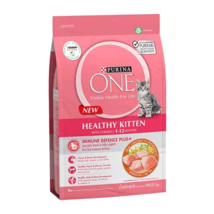 Purina One Healthy Kitten Chicken Dry CatFood 380G | Lazada PH