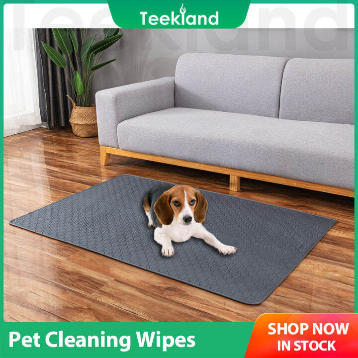 Teekland Pet Mat Portable Dog Blanket Foldable Dog Mat Outdoor