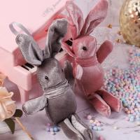 Kids Bunny Plush Toy Keychain Cute Doll Toy Plushie Gift for Kids and Adults Plush Toy Cute Doll Toy Cute Rabbit Plush Mini Bunny Toy Stuffed Animal Keychain Bag Accessories Toys robust