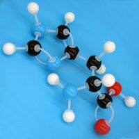 Histidine Molecular Ball And Stick Model ขยายการสาธิตการสอนของนิทรรศการการประชุมทางธุรกิจ