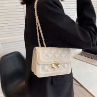 Ins niche senior design sense 2022 new small bag chain inclined shoulder bag spring fashion female bag shoulder bag