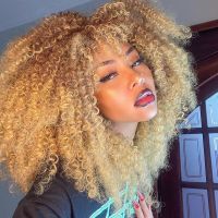 Curly Afro Wigs For Black Women Short Kinky Curly Wigs With Bangs 16 Inch Brown Afro Hair Synthetic Fibre Glueless Cosplay Hair Wig  Hair Extensions P