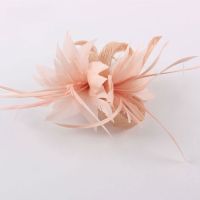 Women Chic Fascinator Hat tail Brooch Wedding Headpiece Church Headwear Party Feather Hair Accessories Sinamay Fascinators