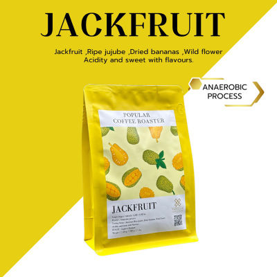 เมล็ดกาแฟคั่ว Jackfruit