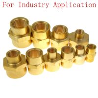 Brass Pipe Fitting Female Coupling Equal or Reducing 1/8 1/4 3/8 1/2 3/4 BSPP NPT For Industry Application