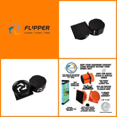 Flipper Pico / Magnet / แปรงแม่เหล็ก / Flipper