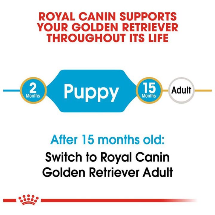 3kg-x3-อาหารลูกสุนัขโกลเด้น-royal-canin-golden-retriever-puppy-สำหรับลูกสุนัขพันธุ์โกลเด้นรีทรีฟเวอร์-อายุ-2-15-เดือน