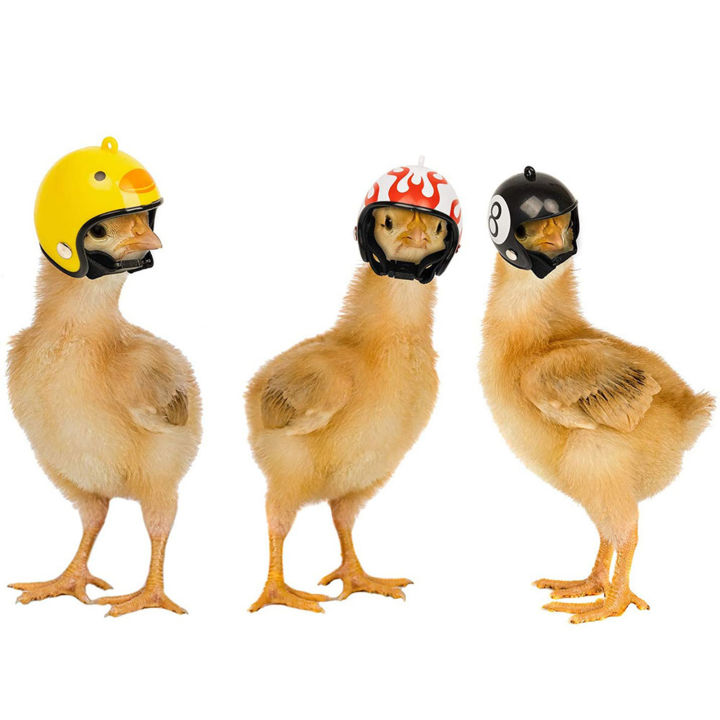 หมวกกันน็อคป้องกันรูปไก่สุดฮาอุปกรณ์สวมศีรษะหมวกนกทนทานพิมพ์ลายน่ารักเพื่อความปลอดภัยของสัตว์เลี้ยง