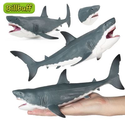 ZZOOI 2022 Realistic Marine Animals Megalodon Shark Figurines Action Figures Model Collection Educational Toys ?for children Kids Gift