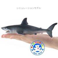 Munich Play - โมเดล White Shark ปลาฉลาม ขาว ขนาด 18.00 CM (จากหาดใหญ่)