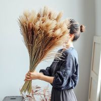 15PCS Pampas Grass Decor Real Pampas Grass Reed Natural Dried Plant Home Wedding Party Decoration Accessories Dry Flower