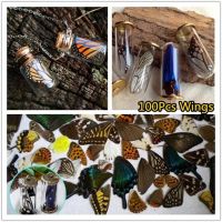 100PcsSet Real Natural Specimens Butterfly Wings DIY Jewelry Artwork Art Hand Craft Happy ING