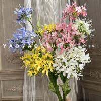 ☢☂ 2 heads of the other shore flower Agapanthus high-quality arrangement hotel landscaping decorative niche high-end shooting props