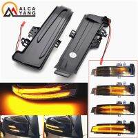 Dynamic Led Turn Signal Rearview Mirror Indicator Blinker Light For Mercedes Benz W204 W176 W212 CLA A B C E S GLA GLK CLS Class