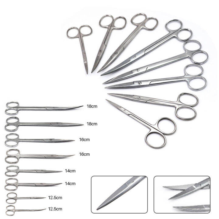 Dental Stainless Steel Dissecting Scissors Dressing Curved/ Straight