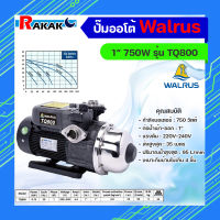 WALRUS ปั๊มน้ำอัตโนมัติแรงดันคงที่ รุ่น TQ800 ขนาด 1นิ้ว 800วัตต์