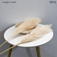 Longjia Tools 5ชิ้น40-50เซนติเมตรดอกไม้แห้งหญ้าช่อต้นกกดอกไม้ประดิษฐ์ตกแต่งบ้านคริสต์มาสงานแต่งงานตกแต่ง