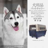 DOG BOX (ก*ย*ส) 65cm.*100cm.*75cm. บล๊อกใส่สุนัข บล็อค#5 บล๊อกสำหรับสุนัขเดินทางโดยรถยนต์ บล๊อกสำหรับสุนัขเดินทางโดยเครื่องบิน เคลื่อนย้ายสุนัข