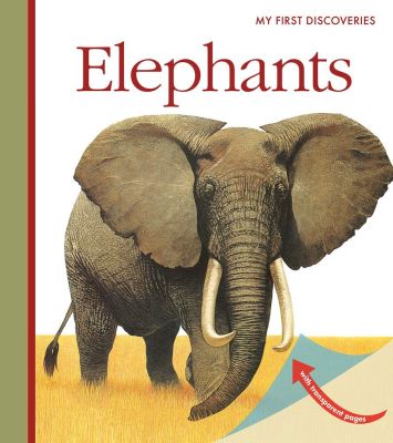 My First Discoveries book หมอ ประเสริฐ แนะนำ ความรู้ Elephants เล่มหนา ปกแข็ง ของแท้