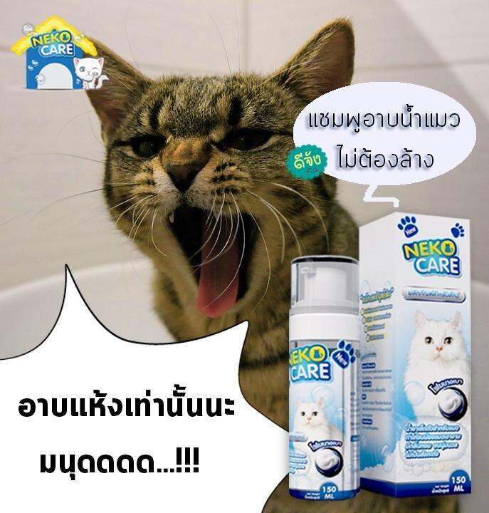 neko-care-โฟมอาบน้ำแมว-โฟมอาบน้ำแห้ง-แชมพูโฟมอาบแห้งน้องแมว-ฟองโฟมอาบน้ำ-แชมพูอาบน้ำแมว-ชมพูอาบน้ำแมว-สามารถ-ช่วยทำความสะอาด-ดับกลิ่น