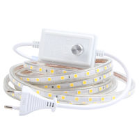 AC 220V Waterproof LED Strip Lights Dimmer 5050 60LEDsM WhiteWarm White 1M 2M 3M 4M 5M 6M 7M 8M 9M 10M 15M 20M 25M EU US Plug