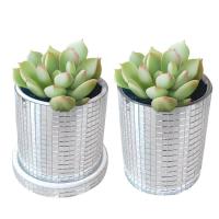 Mirror Planter Pot Wear-resistant Disco Succulent Planters Exquisite Mirror Disco Cylindrical Vase Flexible Small Cactus Flower Pots for Desktop Home Decoration cosy