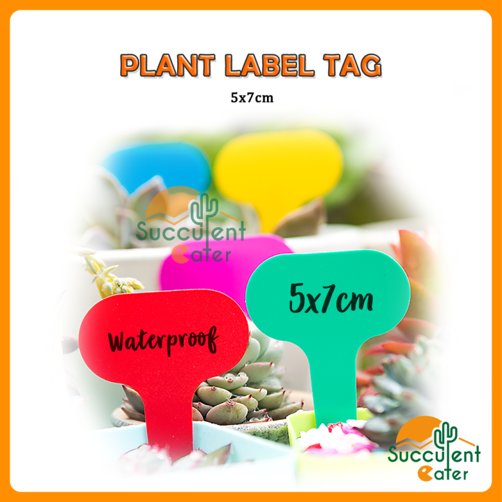 Plant Label Tag Garden 5x7cm Plant Flower Label Tag Nursery Thick T-Types Tool 植物标签 | Lazada