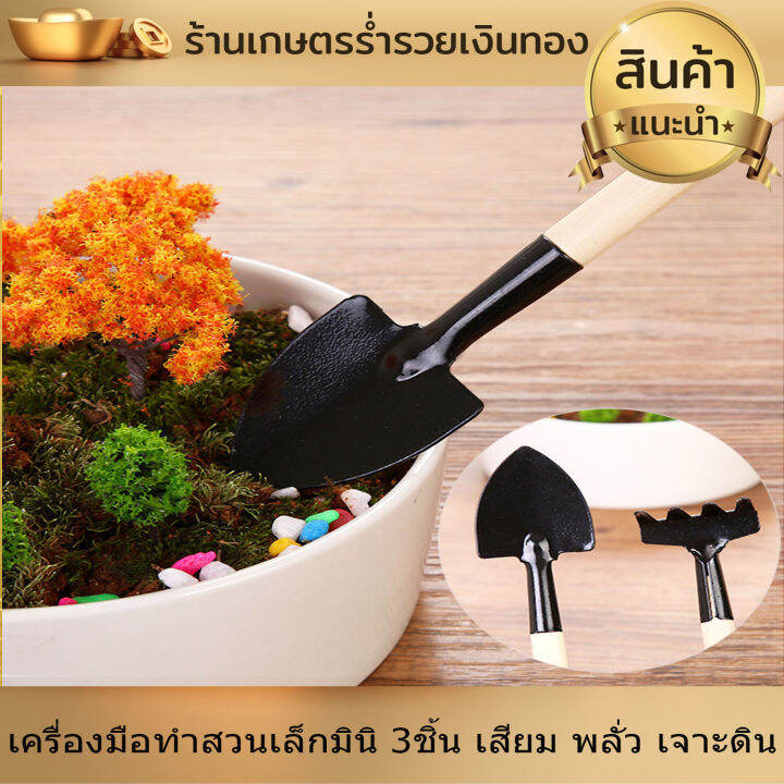 อุปกรณ์ทำสวน-ชุดตักดิน-พรวนดิน-เครื่องมือทำสวน-ขนาดเล็กมินิ-3ชิ้น-ทำสวนจิ๋ว-คลาด-เสียม-พลั่ว-เจาะดิน-ตักดิน-พรวนดิน-ขนาดพกพา-ทนทาน