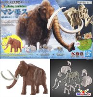 4573102621795 EXPLORING LAB NATURE MAMMOTH