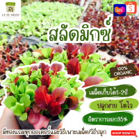 เมล็ดพันธุ์ผักสลัดมิกซ์ 300เมล็ด อัตราการงอก95% ปลูกง่าย โตไว เมล็ดเก็บไว้ได้นาน2ปี(ทุกออเดอร์ แถมฟรี! เมล็ดผักกวางตุ้ง)