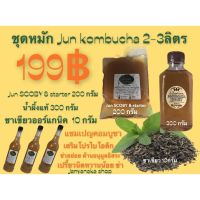 ผงชาสำเร็จรูป หัวเชื้อ&amp;scoby มั่นใจต้อง⭐️⭐️⭐️⭐ น้ำตั้งต้นอาkombucha ยุการหมักกว่า10ปี(Otop)