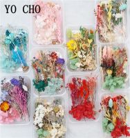 YO CHO 1 Box Mix Real Fresh Dried Flower Natural Floral for Art Craft Scrapbooking Resin Jewelry Craft Making Epoxy Mold Filling